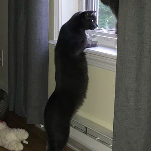 Meet your Posher, Maria